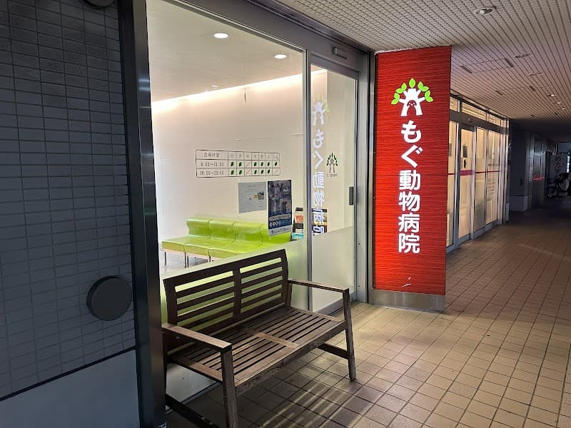 もぐ動物病院