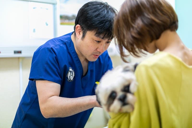 みなみ野動物病院