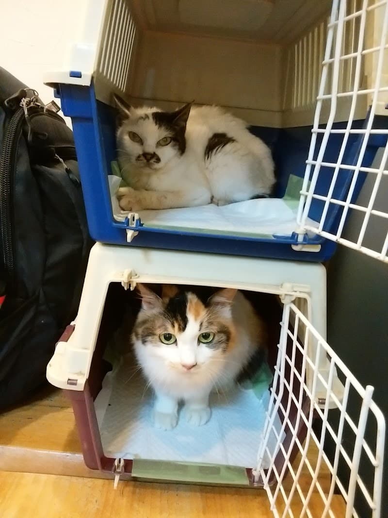 エルザ動物病院