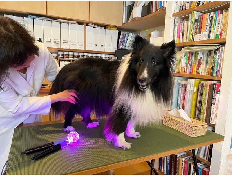 Aki Holistic Veterinary Care アキホリスティック動物病院