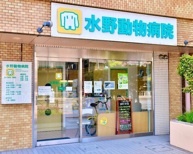 水野動物病院