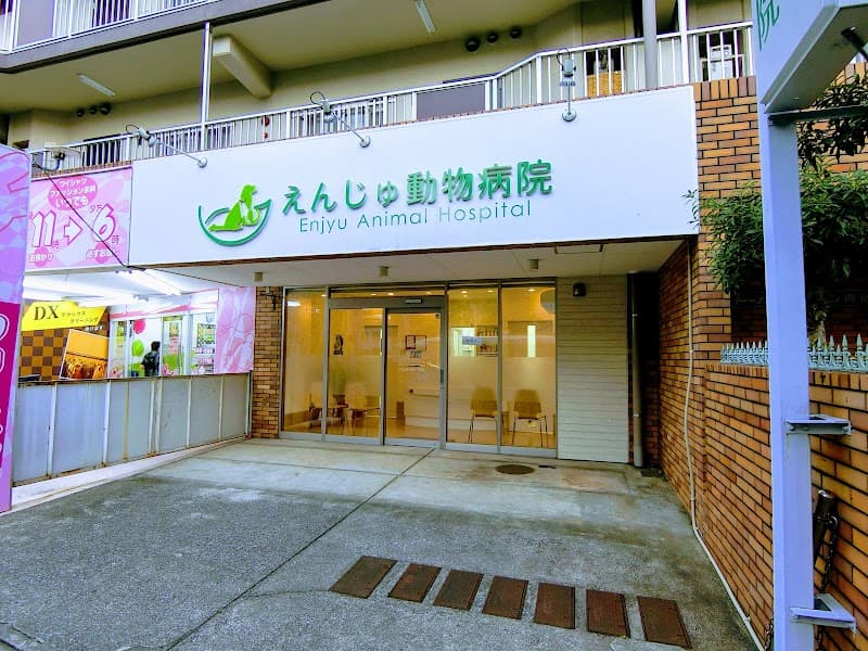 えんじゅ動物病院