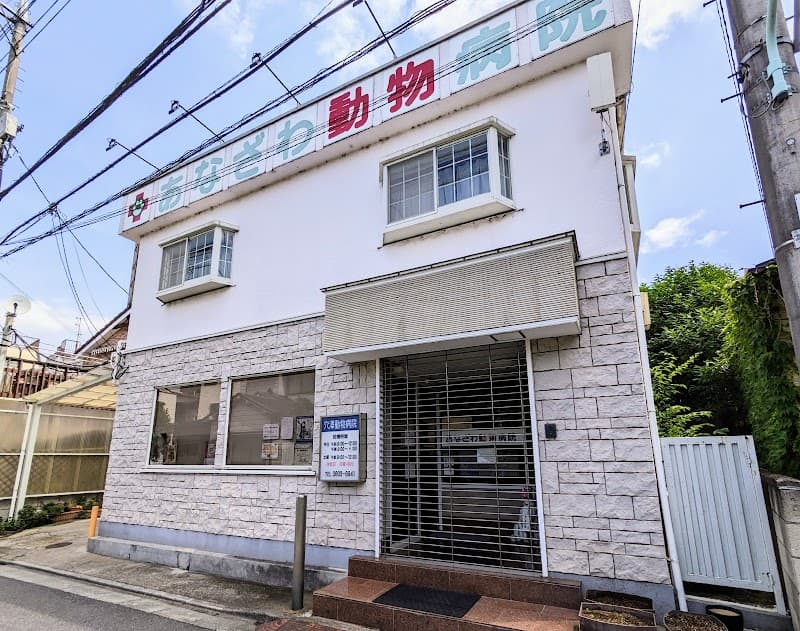 あなざわ動物病院