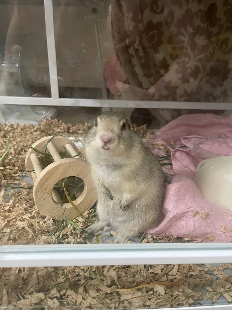 コナンペットクリニック