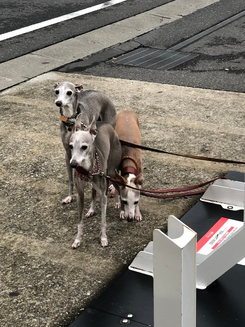 ふなぼり動物病院