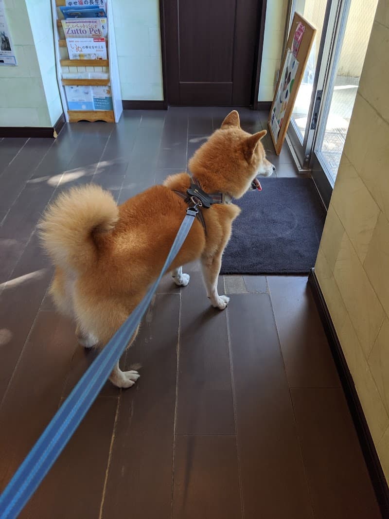 すが犬猫病院