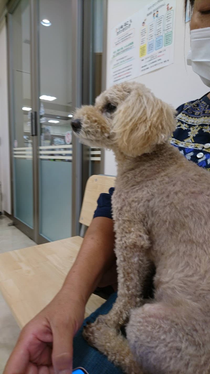 ALLONE動物病院 若葉台病院