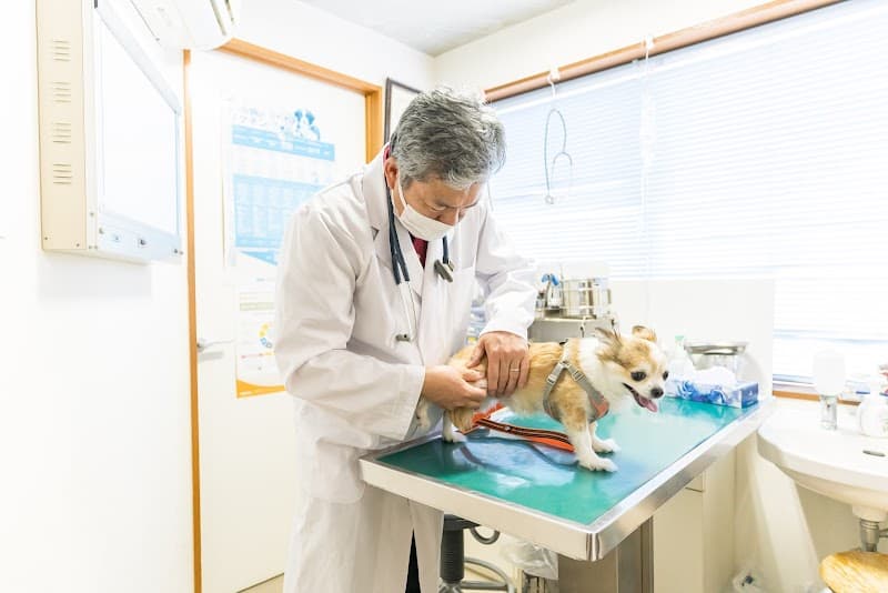 アルファ動物病院