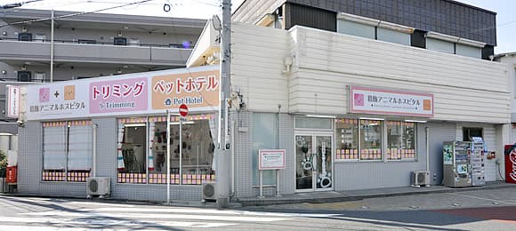 葛飾アニマルホスピタル