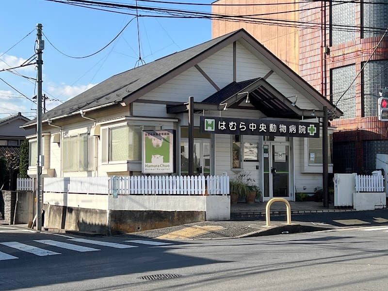 はむら中央動物病院