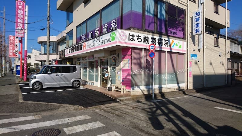 はち動物病院