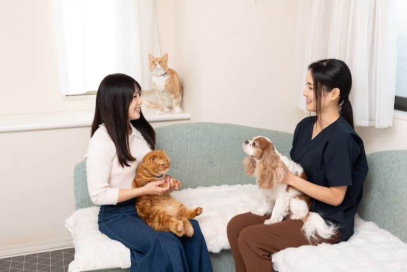 高輪往診動物クリニック