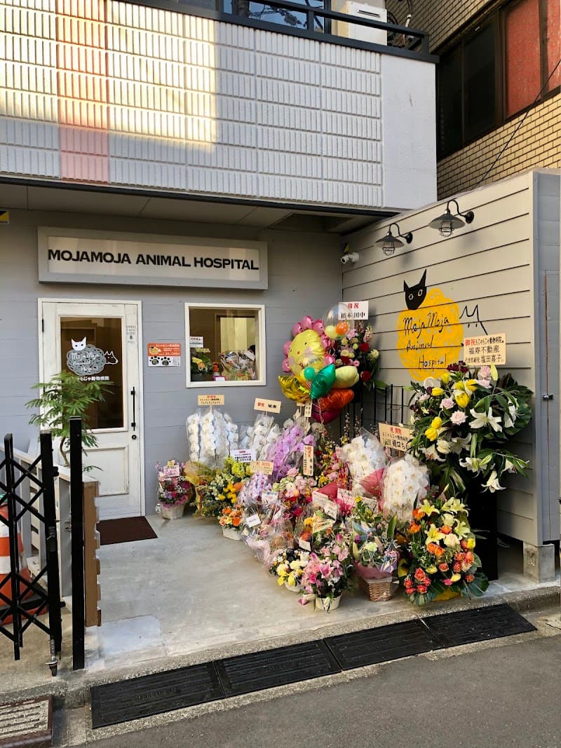 もじゃもじゃ動物病院