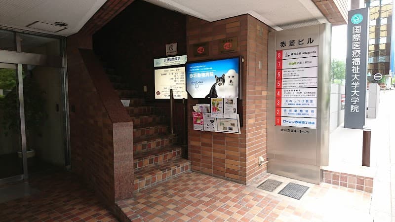 赤坂動物病院