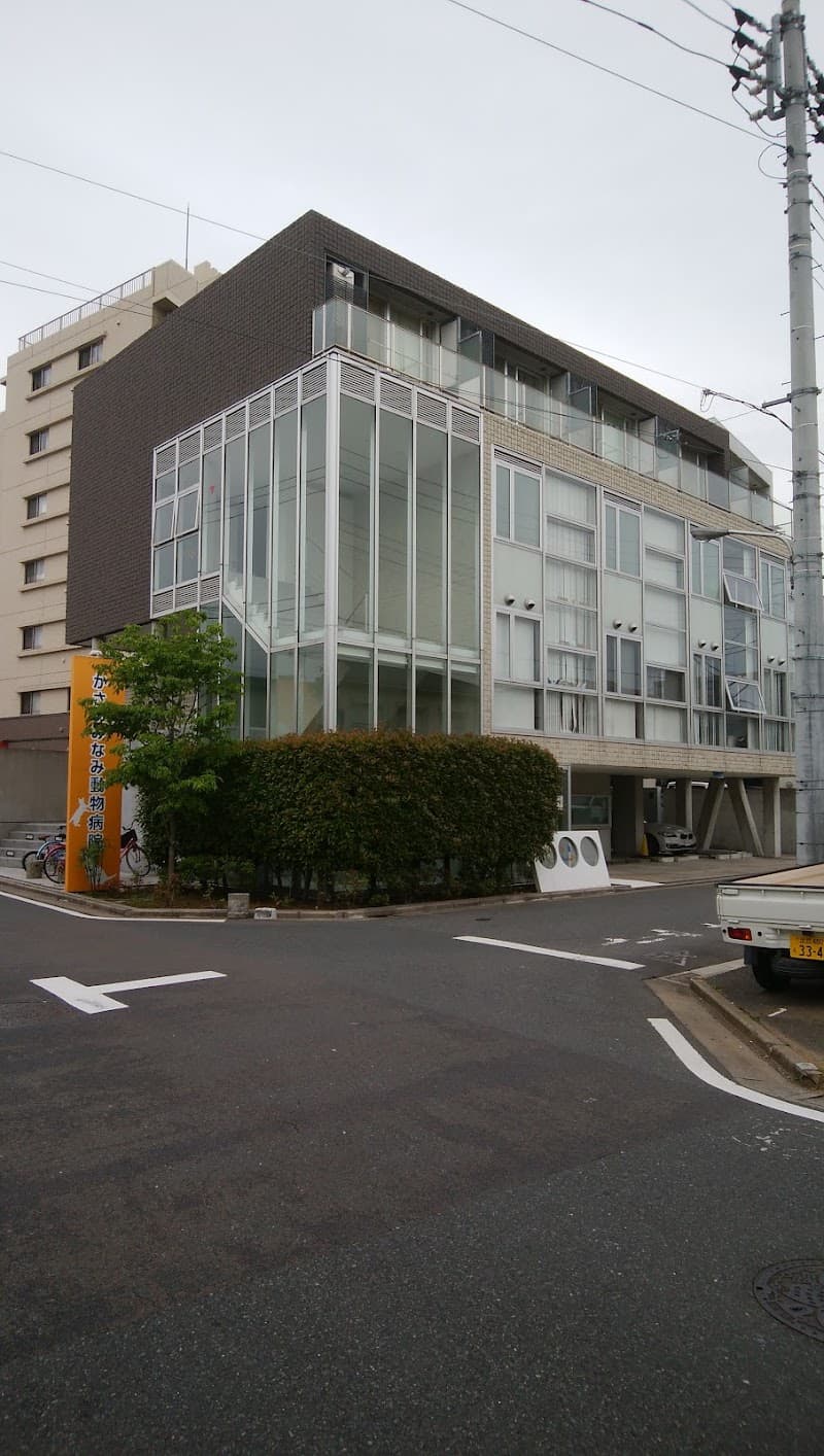かさいみなみ動物病院