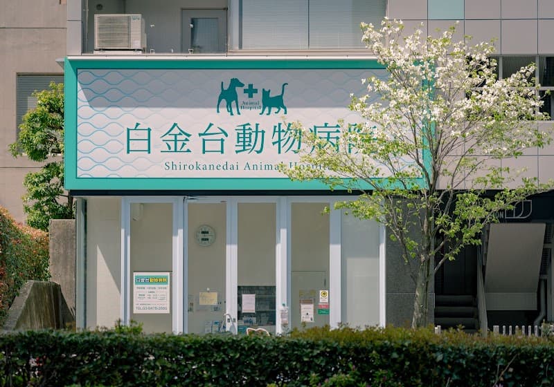 SKG 白金台動物病院