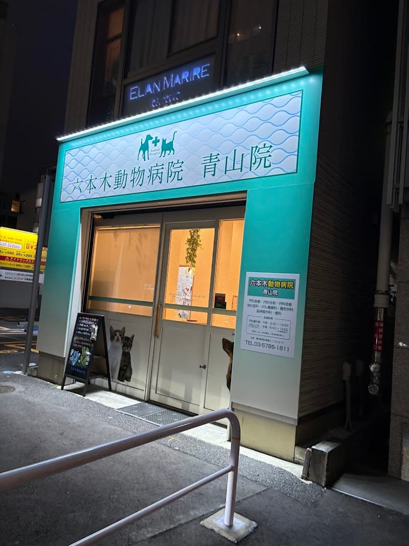 六本木動物医療センター六本木動物病院 青山本院