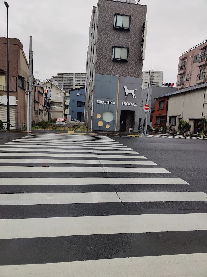 磯貝動物病院