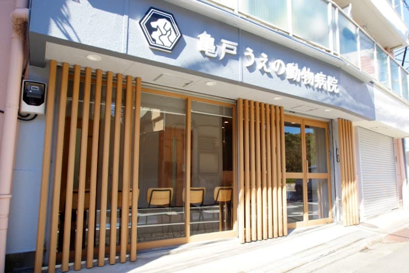 亀戸うえの動物病院
