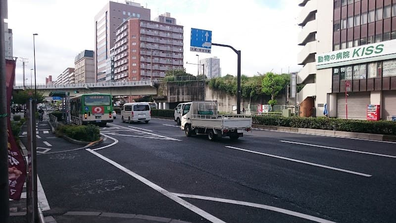 動物の病院・KISS