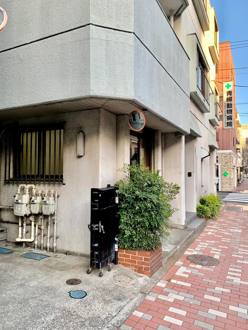 青柳動物病院