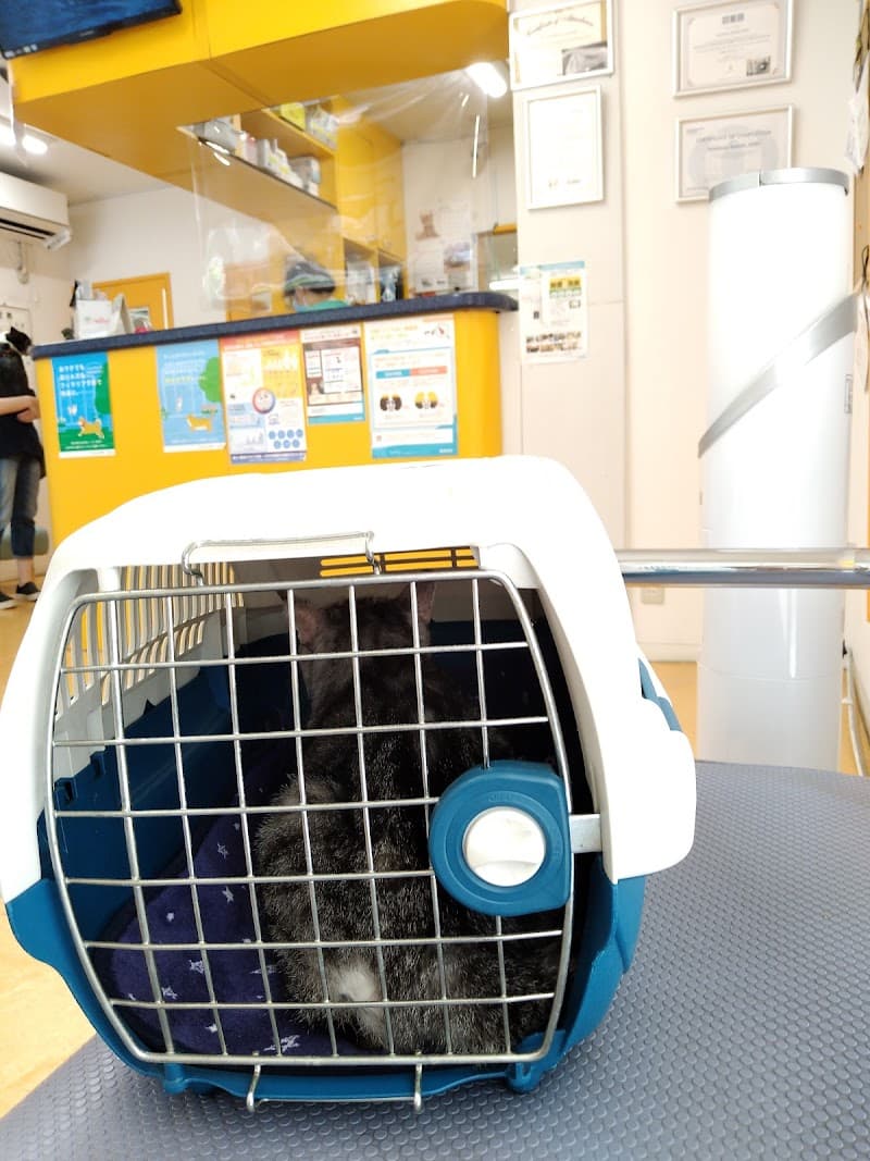 西葛西ペットクリニック