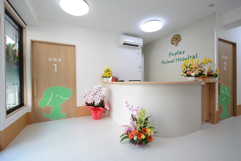 ポプラ動物病院
