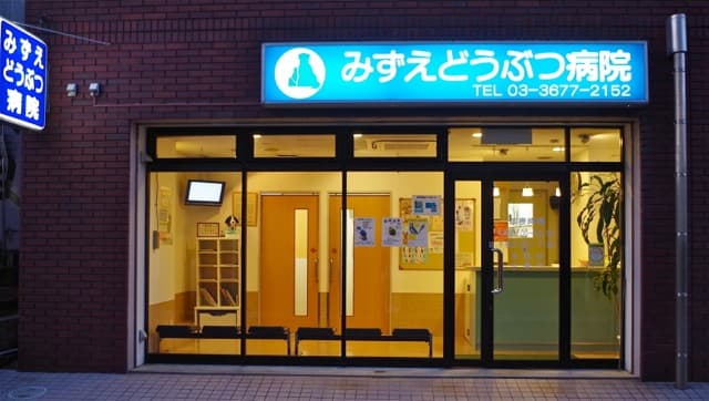 みずえ動物病院