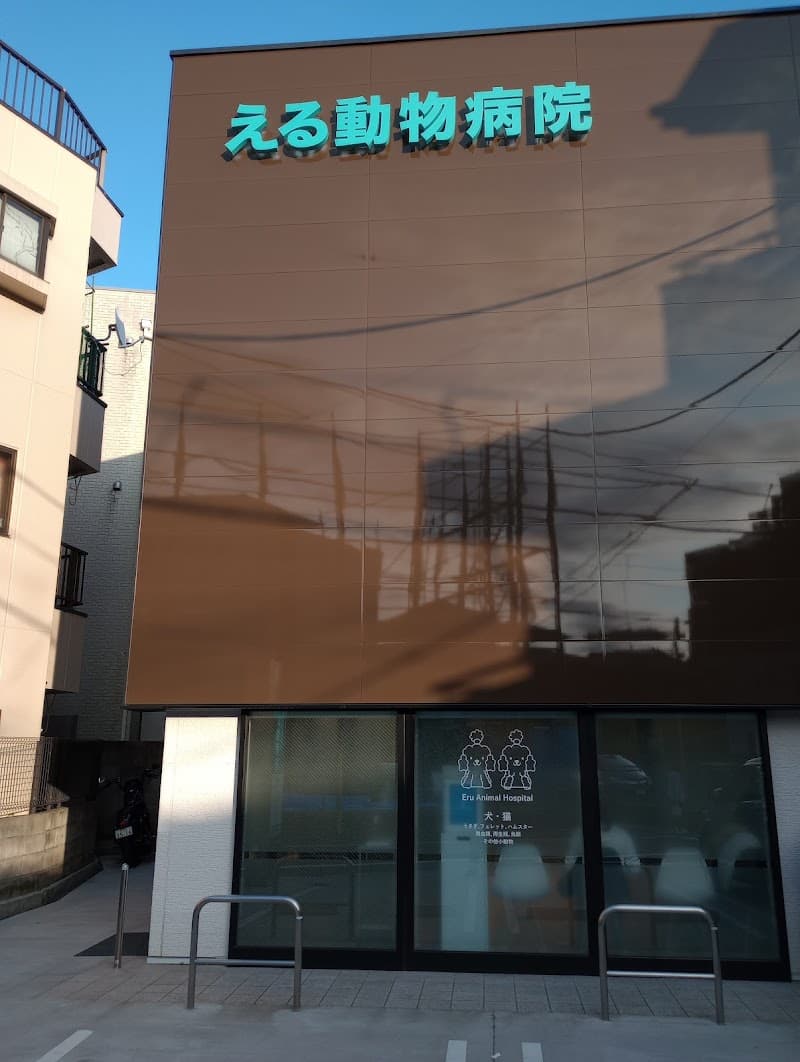 える動物病院