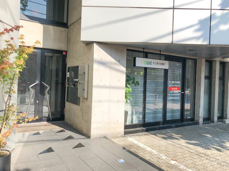 犬と猫の皮膚科