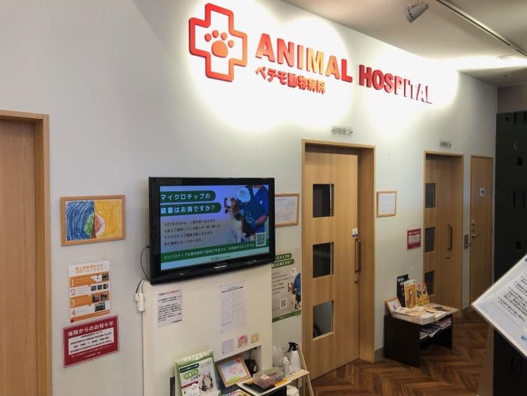 ペテモ動物病院 東雲