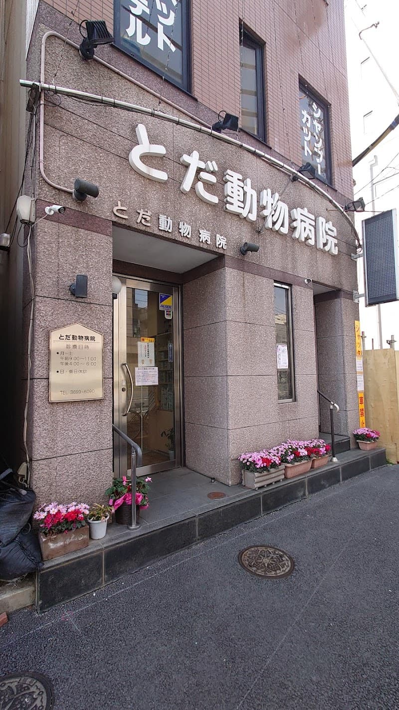 とだ動物病院 東京犬猫歯科