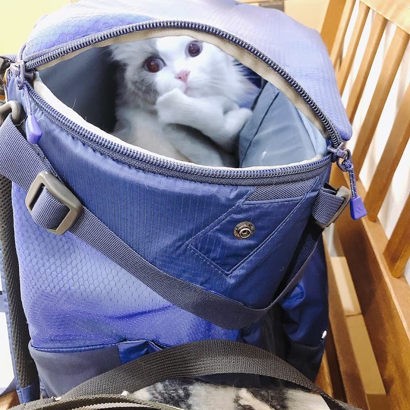 動物医療サポートセンター