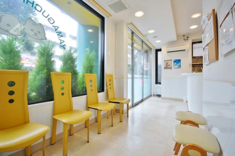 YPC東京動物整形外科病院