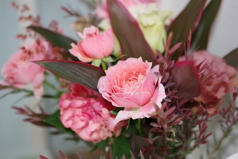 よしい動物病院