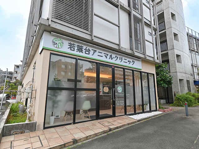 若葉台アニマルクリニック