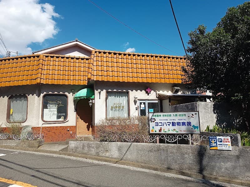 ヨコハマ動物病院