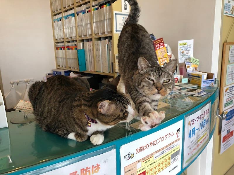 あつき動物病院