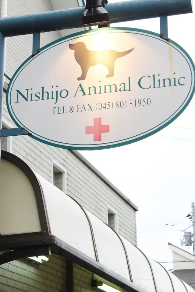 西條アニマルクリニック