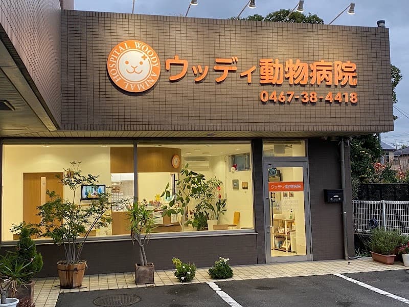 ウッディ動物病院