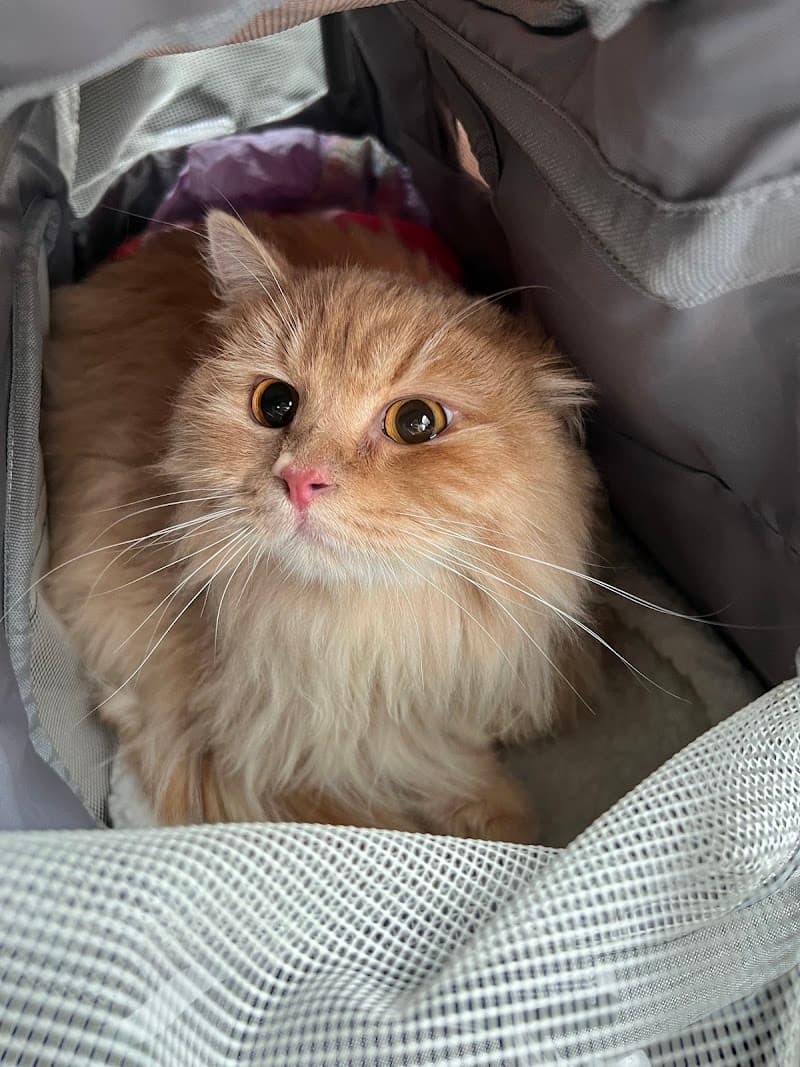 マリン動物病院