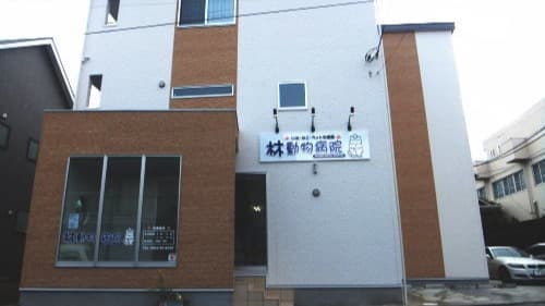 林動物病院