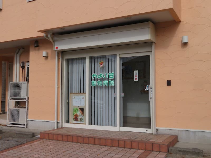 やよい台動物病院