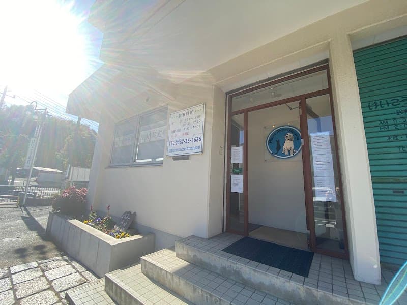 みずの動物病院