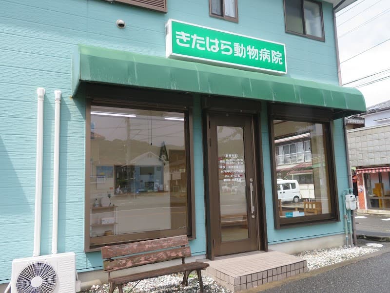 きたはら動物病院