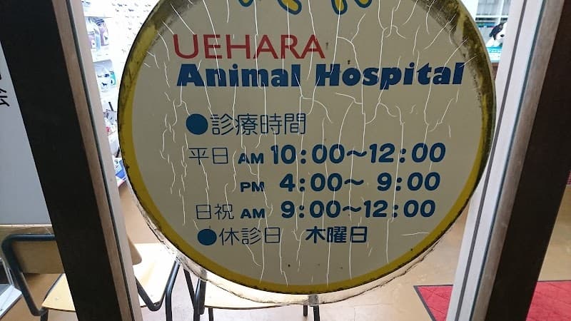 上原どうぶつ病院