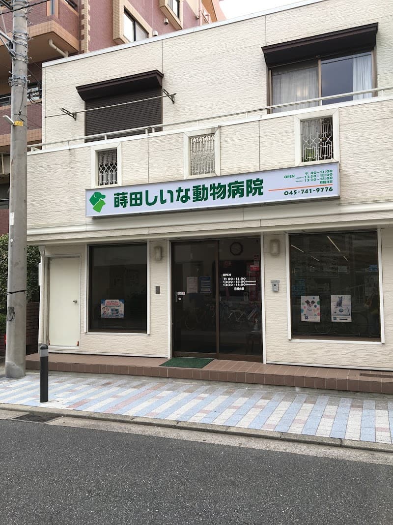 蒔田しいな動物病院