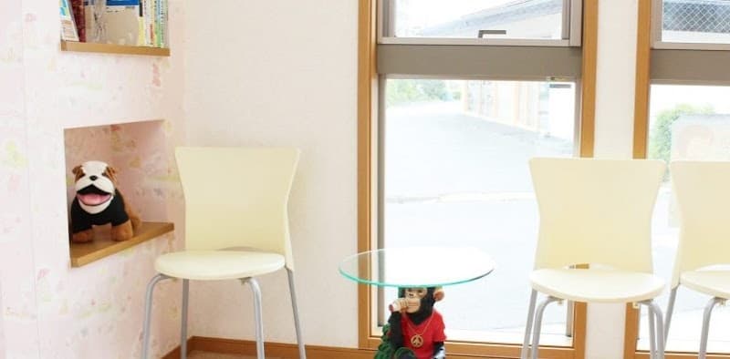 ちよだ動物病院