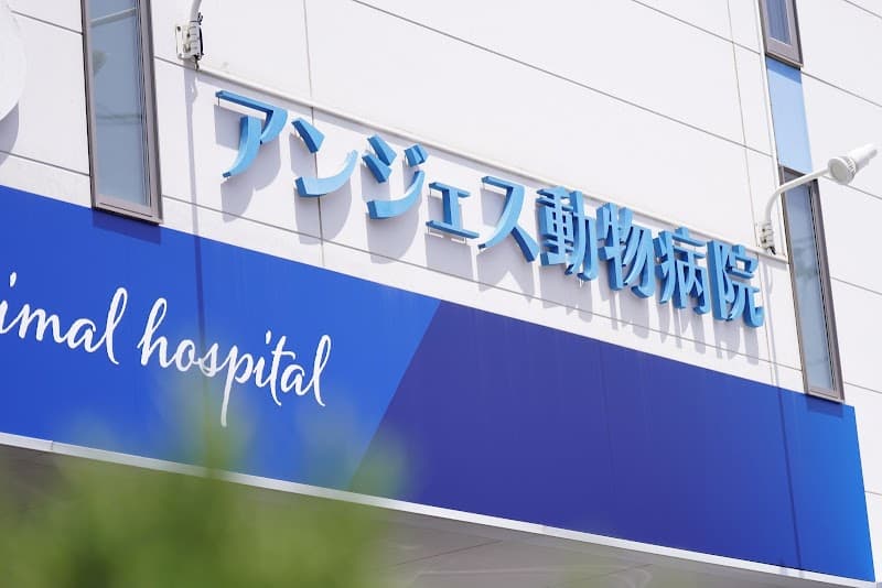 アンジェス動物病院