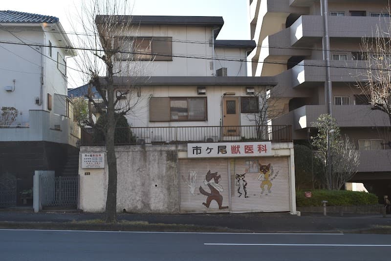 市ケ尾獣医科